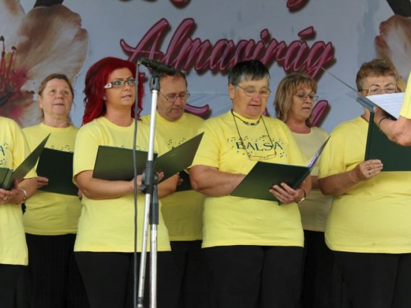 II. Almavirág Fesztivál